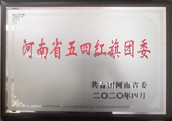 河南省五四紅旗團委榮譽獎牌.jpg