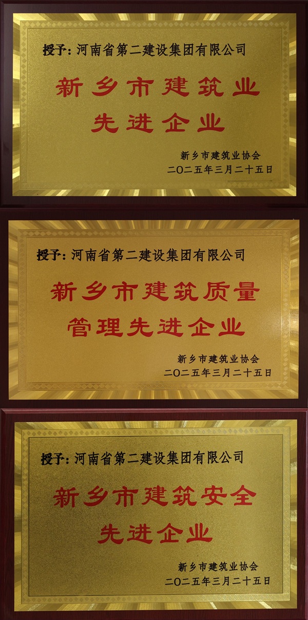 集團(tuán)公司獎(jiǎng)牌拼圖.jpg 集團(tuán)公司獎(jiǎng)牌拼圖.jpg
